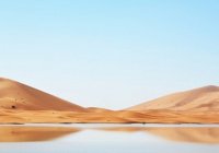 «Неужели вы не верите в Того, Кто создал землю за два дня?»