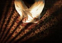 Мудрость вне времени: 2 пути к Аллаху (Видео)