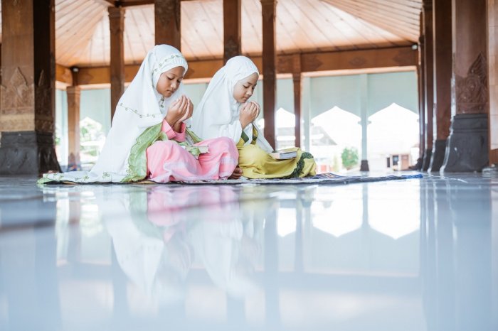 Фото:OaklandImages / elements.envato.com Фото:OaklandImages / elements.envato.com