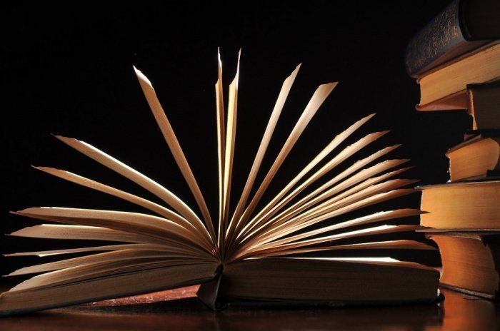 Фото: elements.envato.com. Автор: PedaltotheStock