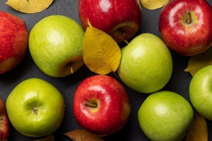 Фото: elements.envato.com, автор: karandaev Фото: elements.envato.com, автор: karandaev