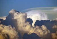 1000 и один хадис: «Увидев в небе облако, Пророк ﷺ начинал ходить вперед и назад...»