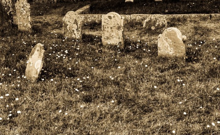 Фото: elements.envato.com, автор: NaturesCharm