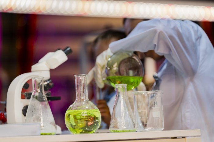 Фото: ultramansk /elements.envato.com