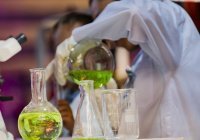 Наука и вера — два крыла, поднимающих человечество к истине