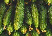 Почему Пророк ﷺ советовал есть огурцы с финиками? (Видео)