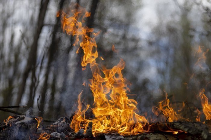 Фото: wirestock / elements.envato.com