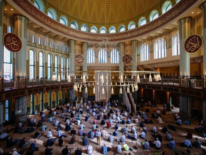 Фото: okanozdemir/ shutterstock.com 