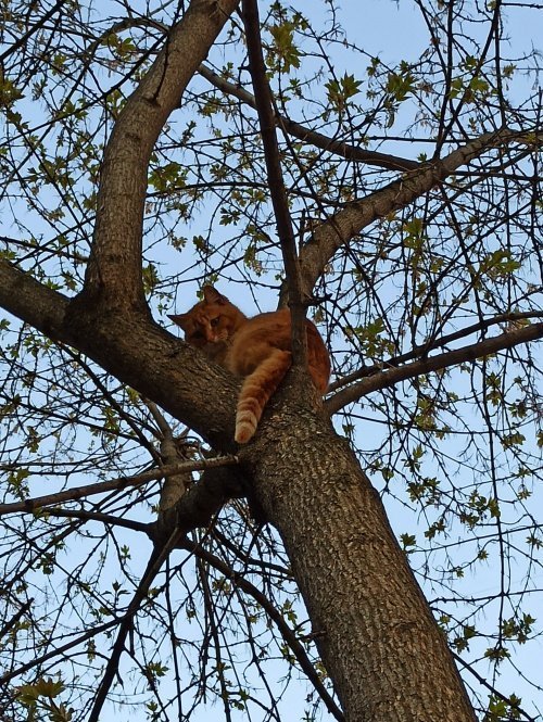 Фото: Ислам-тудей. Фото: Ислам-тудей.