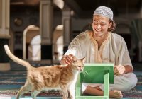 Муизза: любимое домашнее животное Пророка Мухаммада ﷺ 