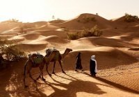 Он уверовал в Пророка ﷺ в 10 лет: история Али (р.а.) 