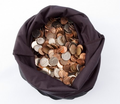 Фото: NaturesCharm / elements.envato.com