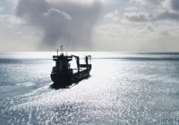 Ислам-тудей: дайджест новостей за 24 часа