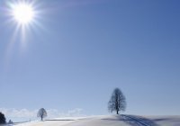 Почему зима – лучшее время года для верующего?