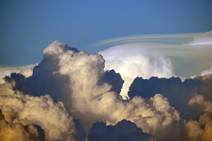 Фото: bilanol / elements.envato.com Фото: bilanol / elements.envato.com