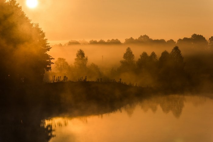 Фото: elements.envato.com, автор: merc67 Фото: elements.envato.com, автор: merc67