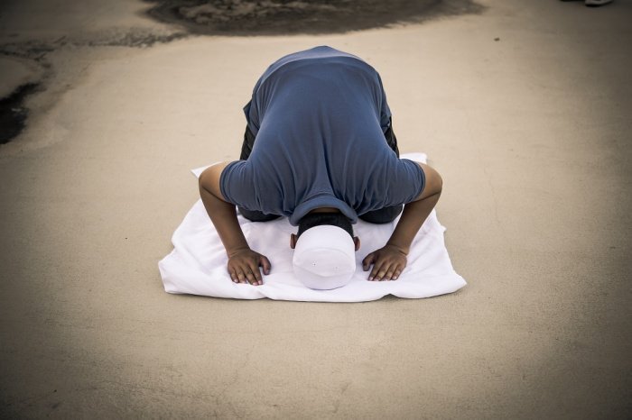 Фото: elements.envato.com, автор: Blue-Titan