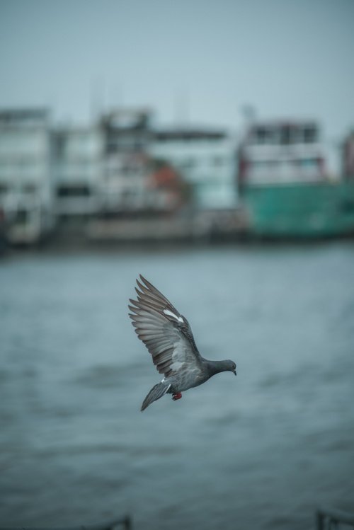 Фото: Nukul Chanada / shutterstock.com/ru 