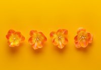 4 благословенные пользы намаза