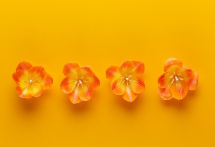 4 благословенные пользы намаза