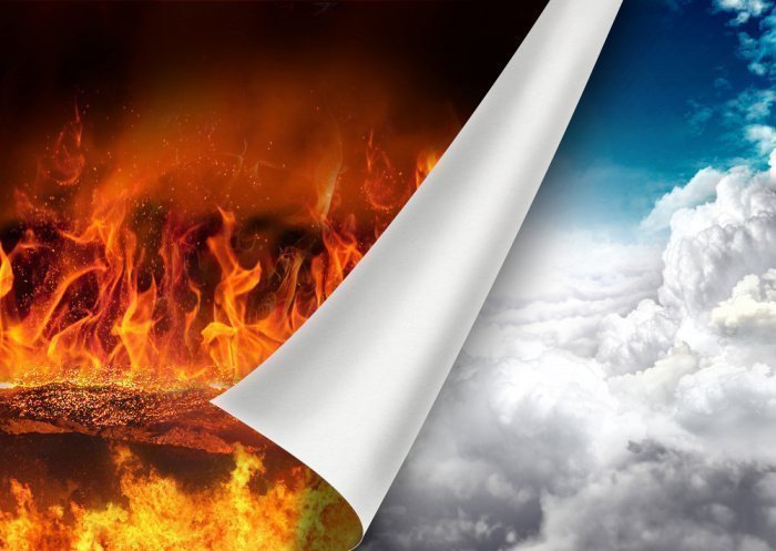 Фото: 2jenn/ shutterstock.com 