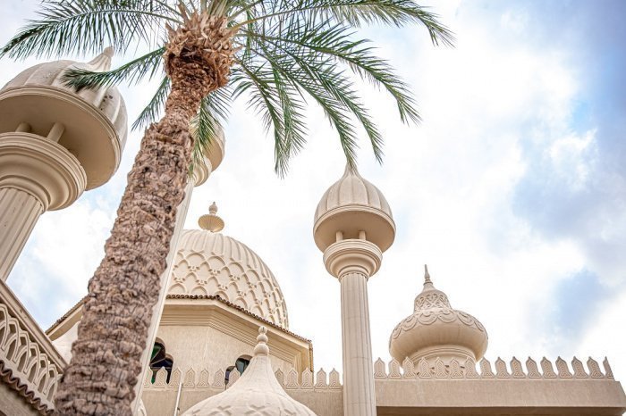 Фото: puhimec / elements.envato.com 