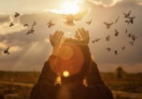 1000 и один хадис: «Освобождайте испытывающего трудности»