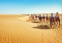 Почему нельзя плохо говорить о сподвижниках Пророка ﷺ? (Видео)