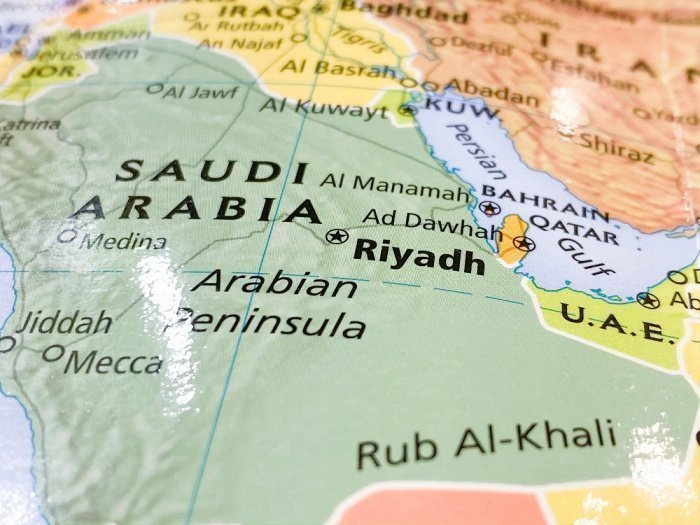 Фото: MorphoBio / elements.envato.com/ru 