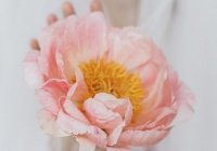 Почему не принимаются дуа?