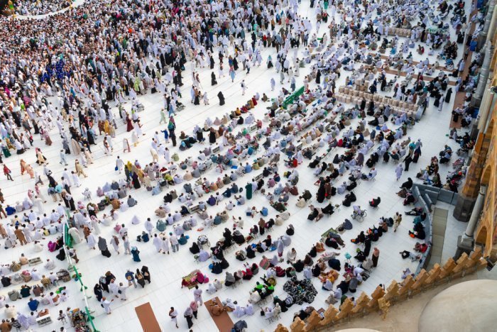 Фото: Andrew V Marcus / shutterstock.com Фото: Andrew V Marcus / shutterstock.com