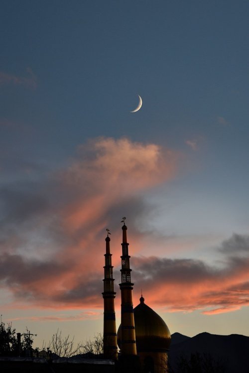 Фото: wirestock / elements.envato.com 