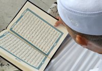 Ислам для начинающих: главные понятия, основы веры и полезные советы