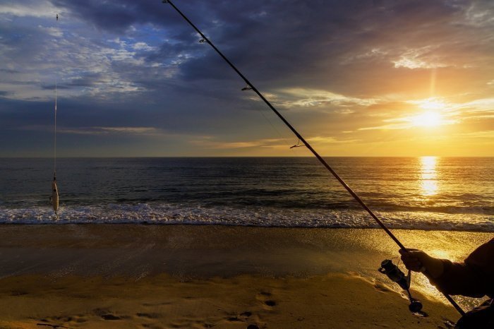 Фото: elements.envato.com/ photovs 