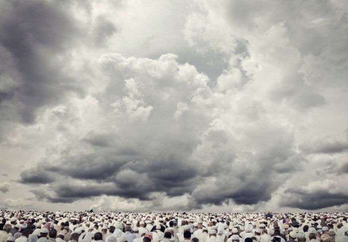 Фото: Zurijeta / elements.envato.com 