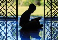 Книга, в которой нет сомнения