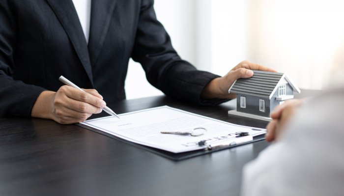 Фото: 89stocker / shutterstock.com