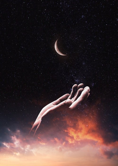 Фото: shutterstock.com. Автор: Efasein. 