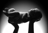 Первые внуки Пророка ﷺ: начало великой истории