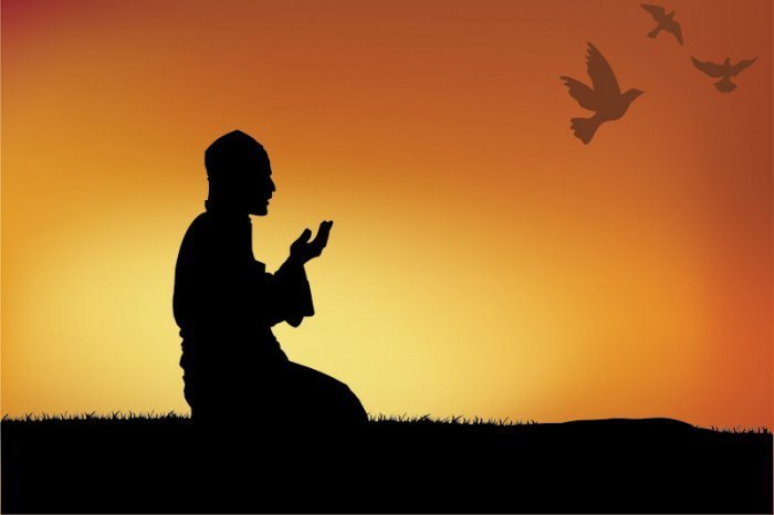 Фото: shutterstock.com Автор: buttet Фото: shutterstock.com Автор: buttet