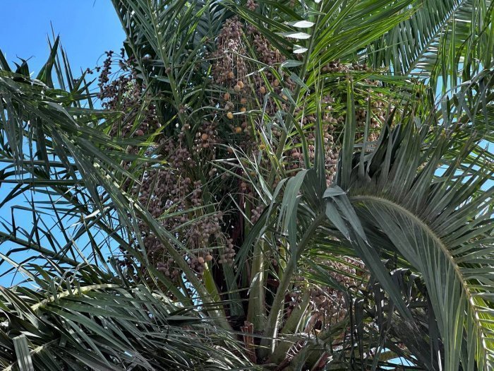 Саудовская Аравия без виз: 10 фактов о стране, которую теперь легче увидеть