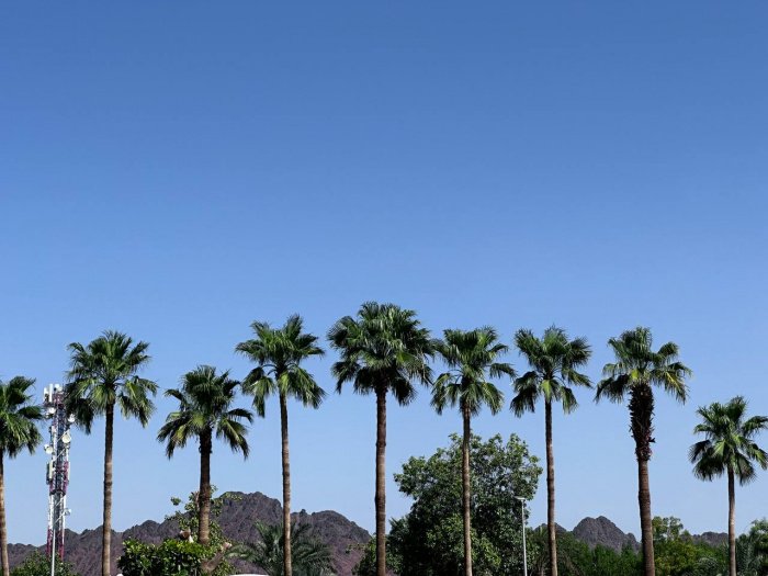 Саудовская Аравия без виз: 10 фактов о стране, которую теперь легче увидеть