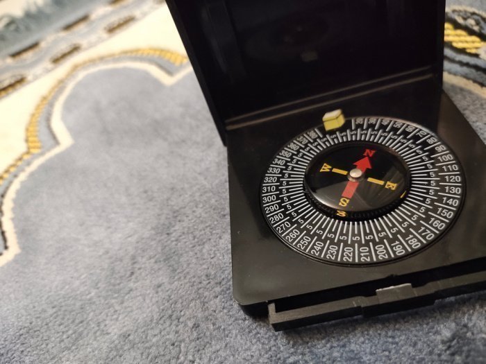 Фото: rekarakea/ shutterstock.com 