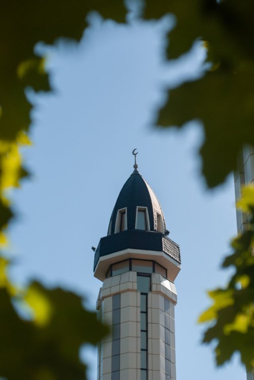 Фото: Stas Vulkanov / shutterstock.com/ru. Фото: Stas Vulkanov / shutterstock.com/ru.