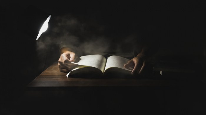 Фото: Jirasak JP / shutterstock.com/ru