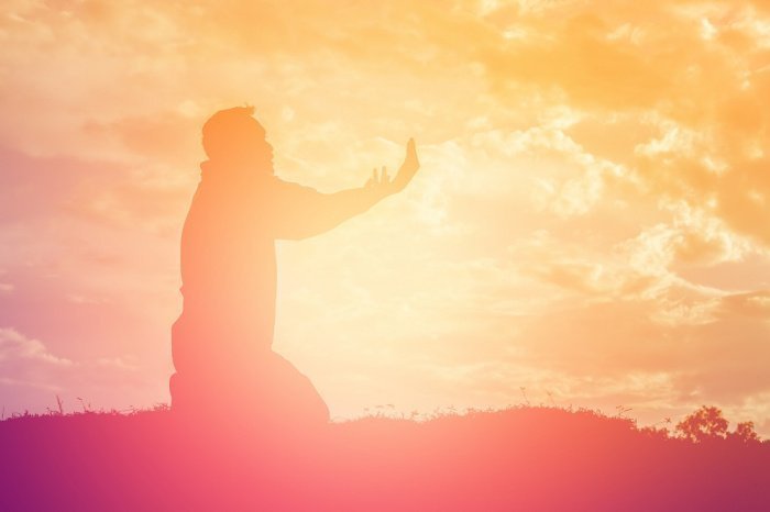 Фото: elements.envato.com, автор: OaklandImages 