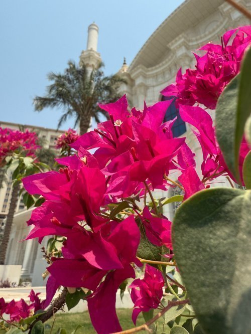 Фото: Ислам-тудей.