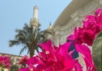 «Те, которые верят в тайное»: разбираем аят суры «Бакара»