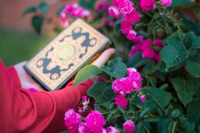 Фото: shutterstock.com, автор: Gabdrakipova Dilyara