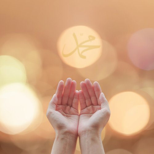 Фото: Chinnapong / shutterstock.com 